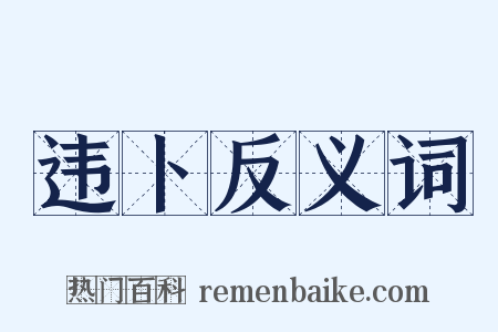 违卜反义词是什么意思的图片